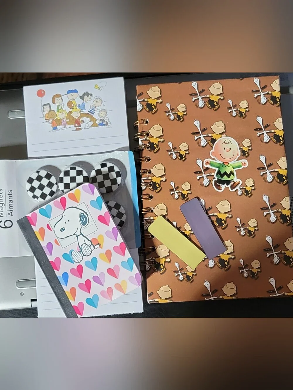 Handmade charlie brown notebook and accessories.